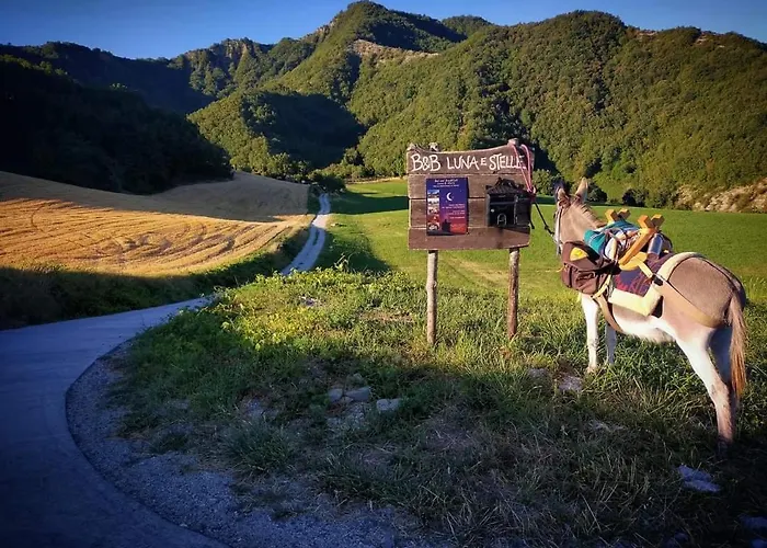 Luna E Stelle 3* Premilcuore