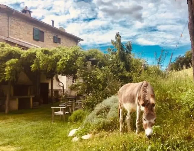 Alojamento de Acomodação e Pequeno-almoço Luna E Stelle 3*