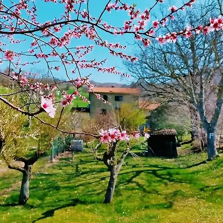 Luna E Stelle Bed & Breakfast