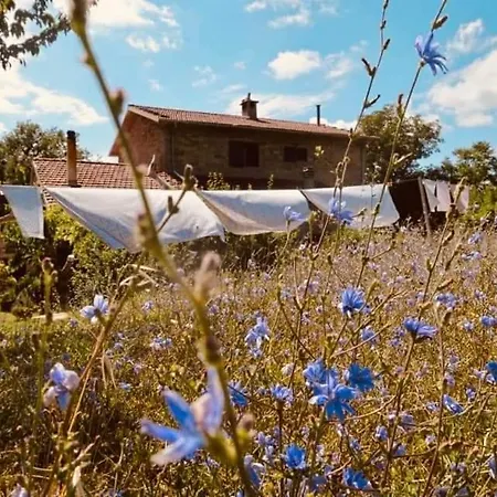 Luna E Stelle 3* プレミルクオーレ