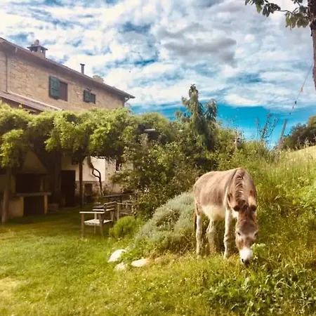 Bed & Breakfast Luna E Stelle *