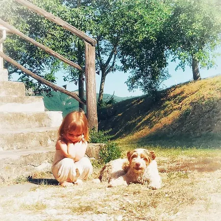 Luna E Stelle Bed & Breakfast