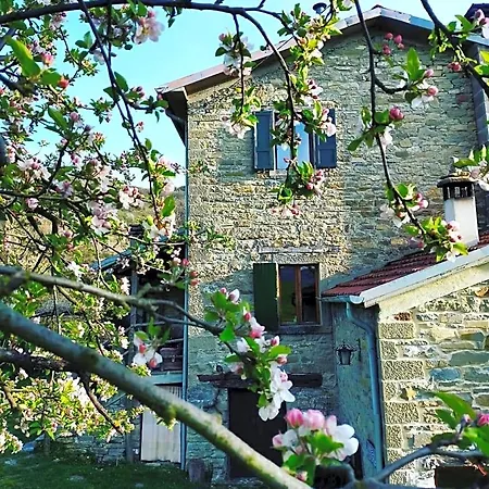 Luna E Stelle Bed & Breakfast 3*