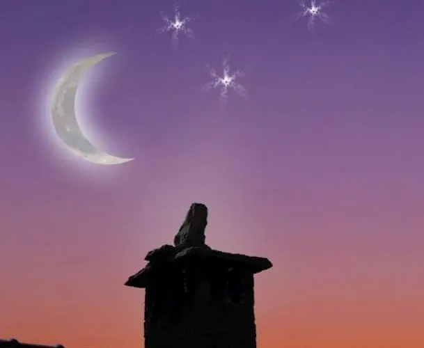 Luna E Stelle 3* Premilcuore