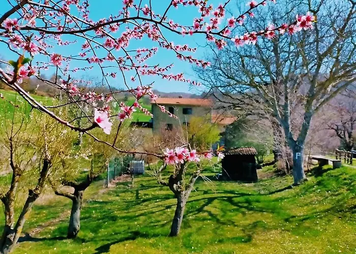 Luna E Stelle Bed & Breakfast