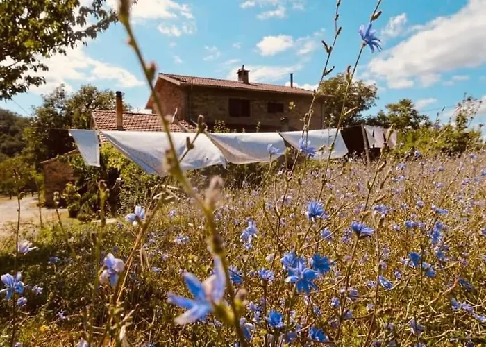 Luna E Stelle 3* プレミルクオーレ