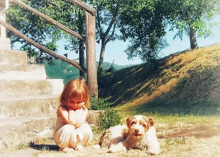 Luna E Stelle Bed & Breakfast